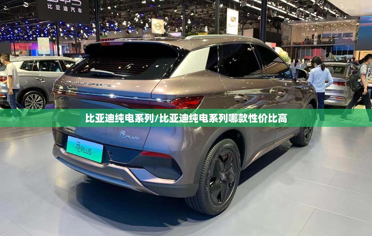 比亚迪纯电系列/比亚迪纯电系列哪款性价比高 比亚迪纯电系列/比亚迪纯电系列哪款性价比高