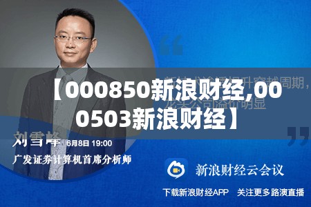 【000850新浪财经,000503新浪财经】