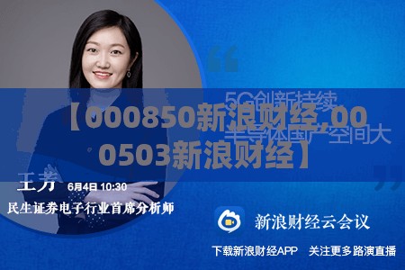 【000850新浪财经,000503新浪财经】