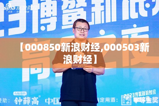 【000850新浪财经,000503新浪财经】