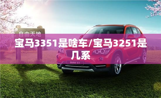 宝马3351是啥车/宝马3251是几系