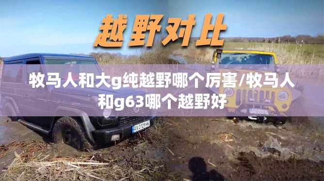 牧马人和大g纯越野哪个厉害/牧马人和g63哪个越野好