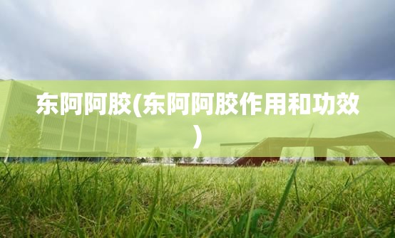 东阿阿胶(东阿阿胶作用和功效) 东阿阿胶(东阿阿胶作用和功效)
