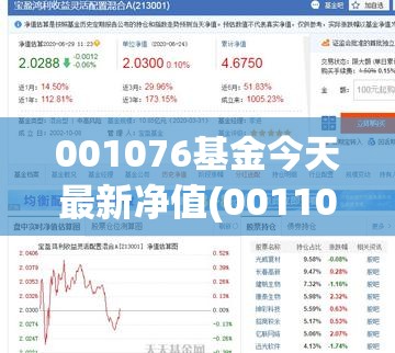 001076基金今天最新净值(001106基金今天净值)