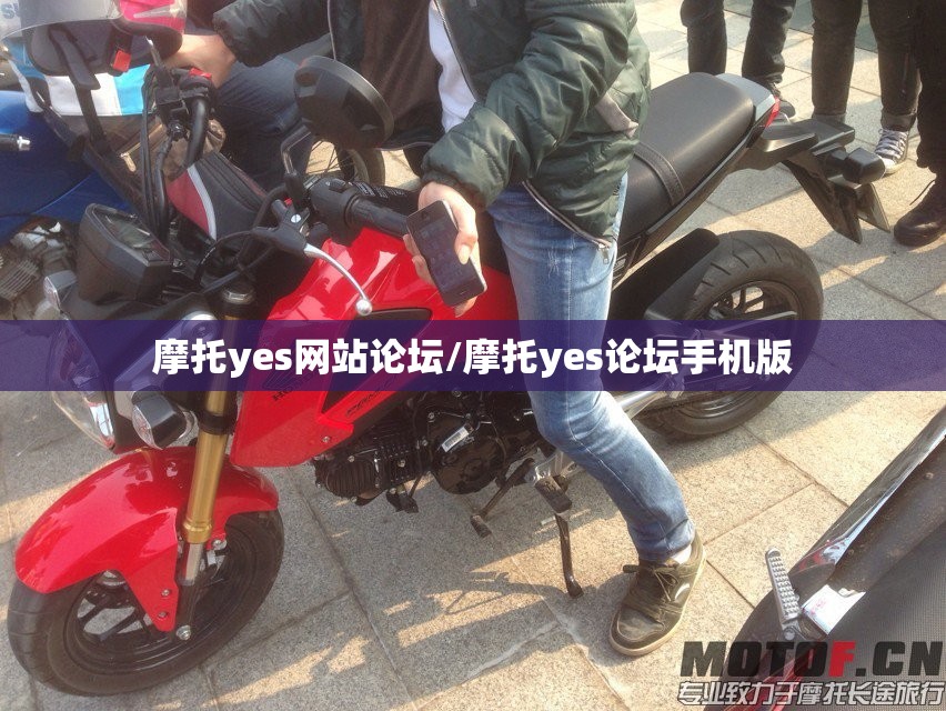 摩托yes网站论坛/摩托yes论坛手机版 摩托yes网站论坛/摩托yes论坛手机版