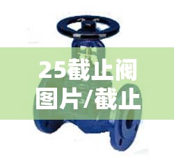 25截止阀图片/截止阀图片 结构图