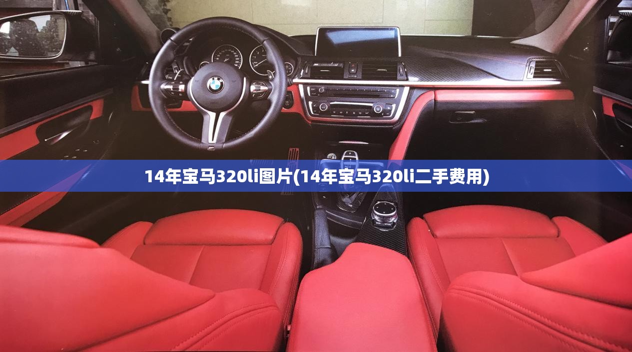14年宝马320li图片(14年宝马320li二手费用) 14年宝马320li图片(14年宝马320li二手费用)