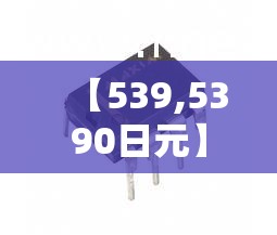 【539,5390日元】 【539,5390日元】
