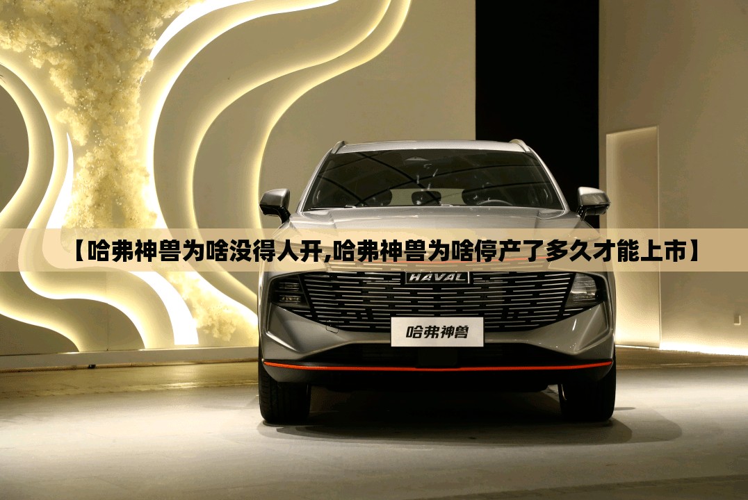 【哈弗神兽为啥没得人开,哈弗神兽为啥停产了多久才能上市】