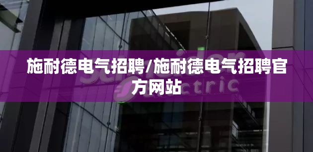 施耐德电气招聘/施耐德电气招聘官方网站