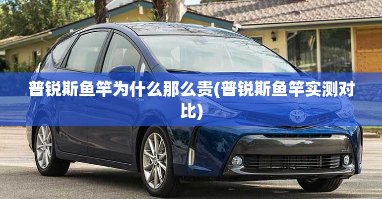 普锐斯鱼竿为什么那么贵(普锐斯鱼竿实测对比) 普锐斯鱼竿为什么那么贵(普锐斯鱼竿实测对比)
