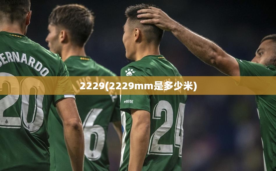 2229(2229mm是多少米) 2229(2229mm是多少米)