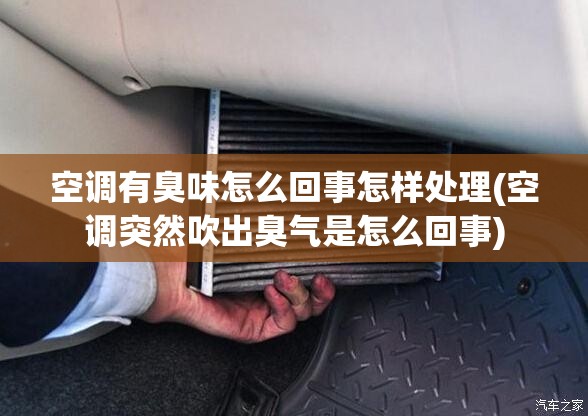 空调有臭味怎么回事怎样处理(空调突然吹出臭气是怎么回事) 空调有臭味怎么回事怎样处理(空调突然吹出臭气是怎么回事)