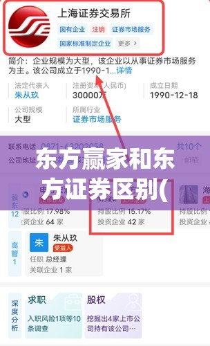 东方赢家和东方证券区别(东方赢家是东方证券吗)