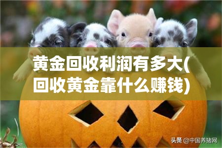 黄金回收利润有多大(回收黄金靠什么赚钱) 黄金回收利润有多大(回收黄金靠什么赚钱)