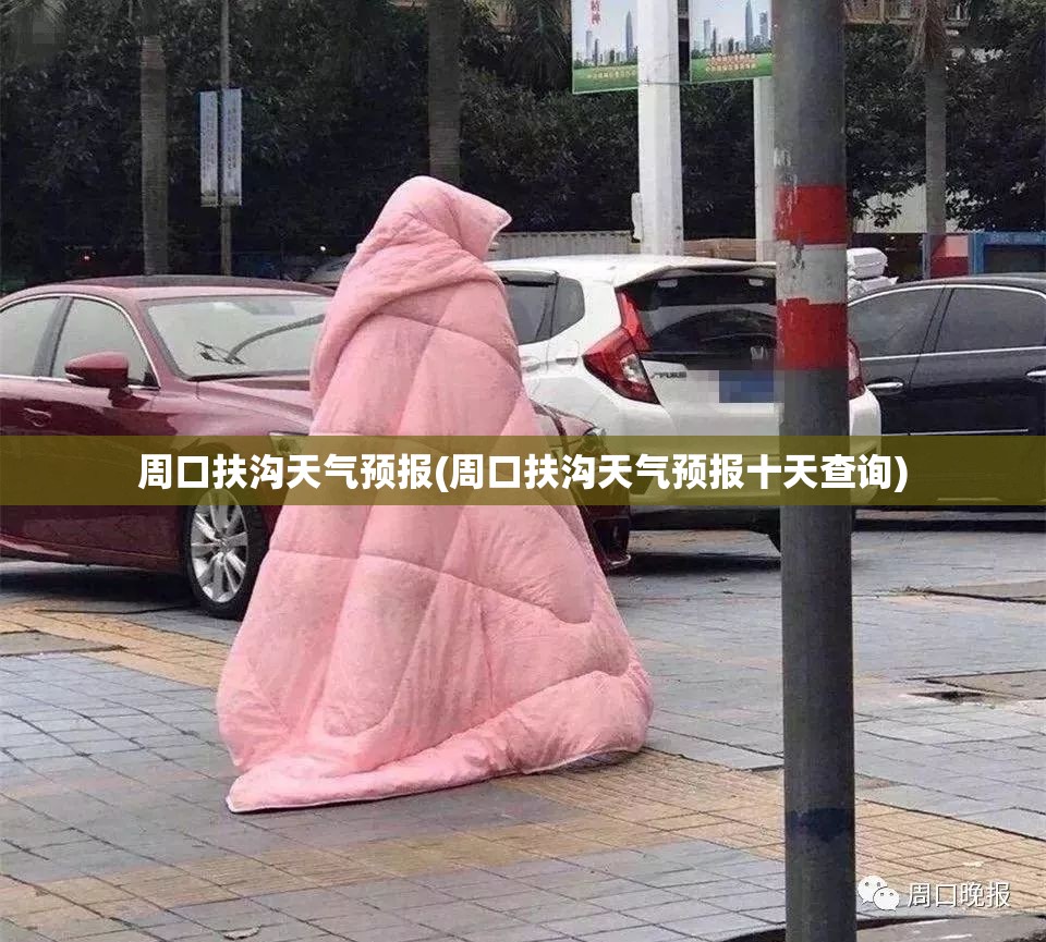 周口扶沟天气预报(周口扶沟天气预报十天查询)