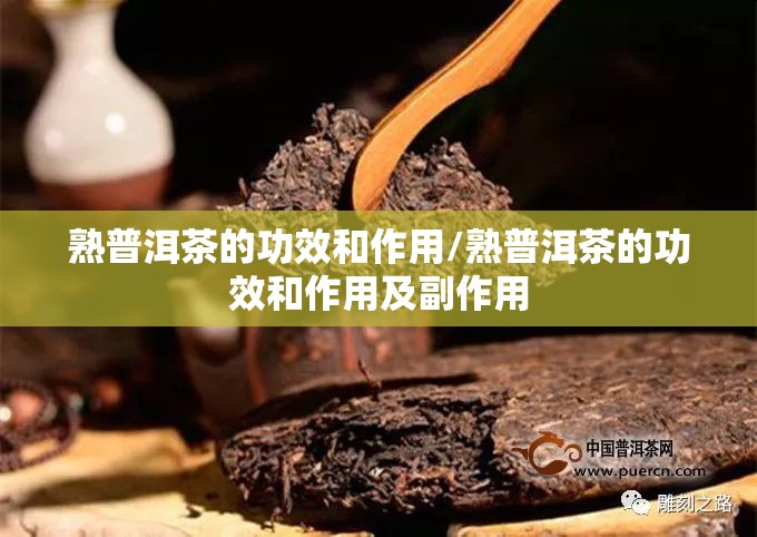 熟普洱茶的功效和作用/熟普洱茶的功效和作用及副作用 熟普洱茶的功效和作用/熟普洱茶的功效和作用及副作用