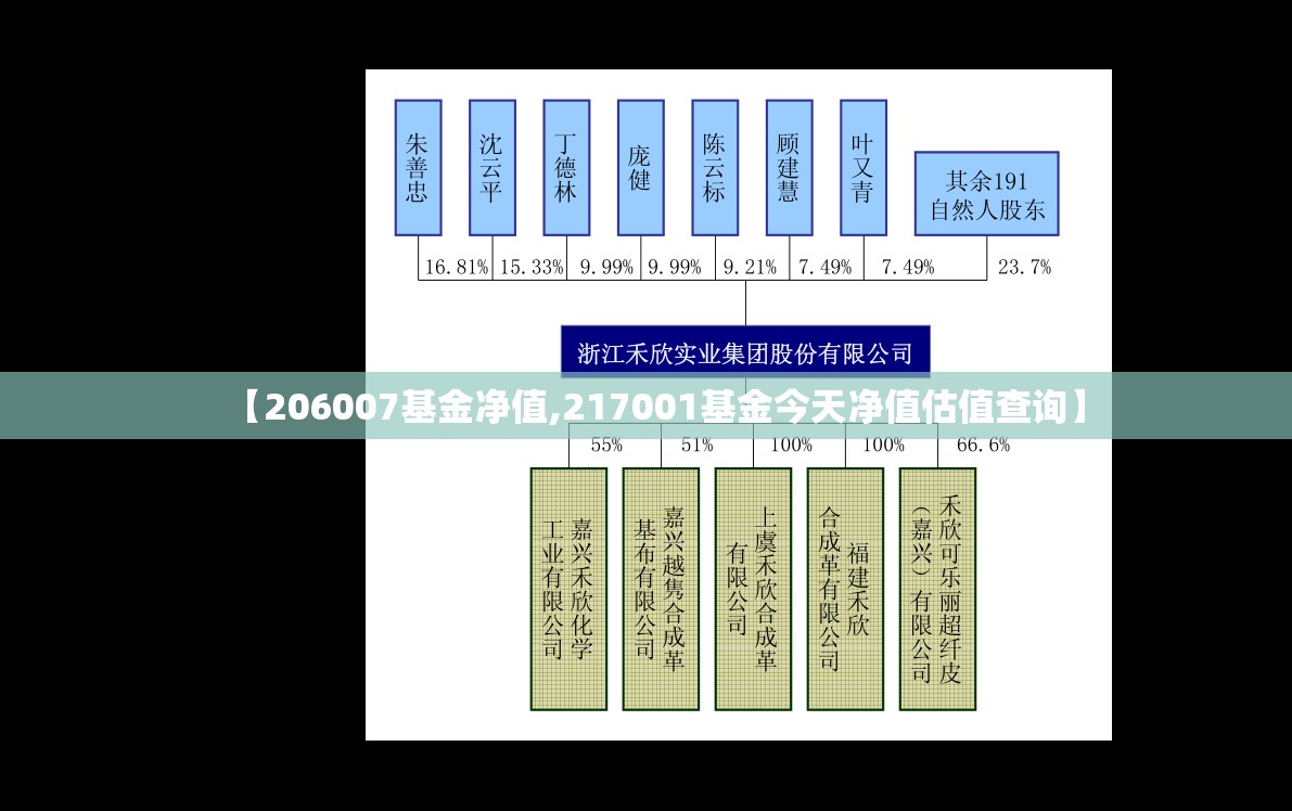 【206007基金净值,217001基金今天净值估值查询】