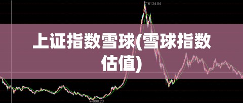 上证指数雪球(雪球指数估值)