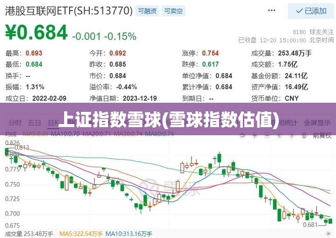 上证指数雪球(雪球指数估值)