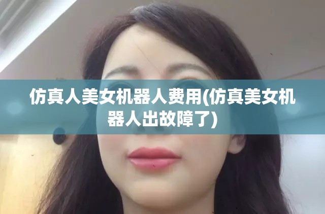 仿真人美女机器人费用(仿真美女机器人出故障了)