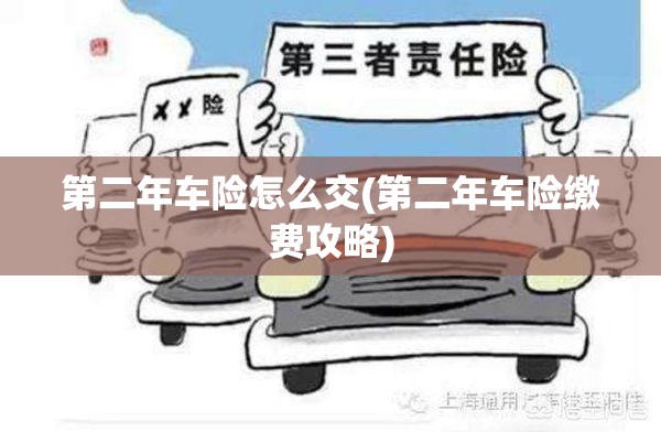 第二年车险怎么交(第二年车险缴费攻略) 第二年车险怎么交(第二年车险缴费攻略)