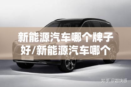 新能源汽车哪个牌子好/新能源汽车哪个牌子好? 新能源汽车哪个牌子好/新能源汽车哪个牌子好?