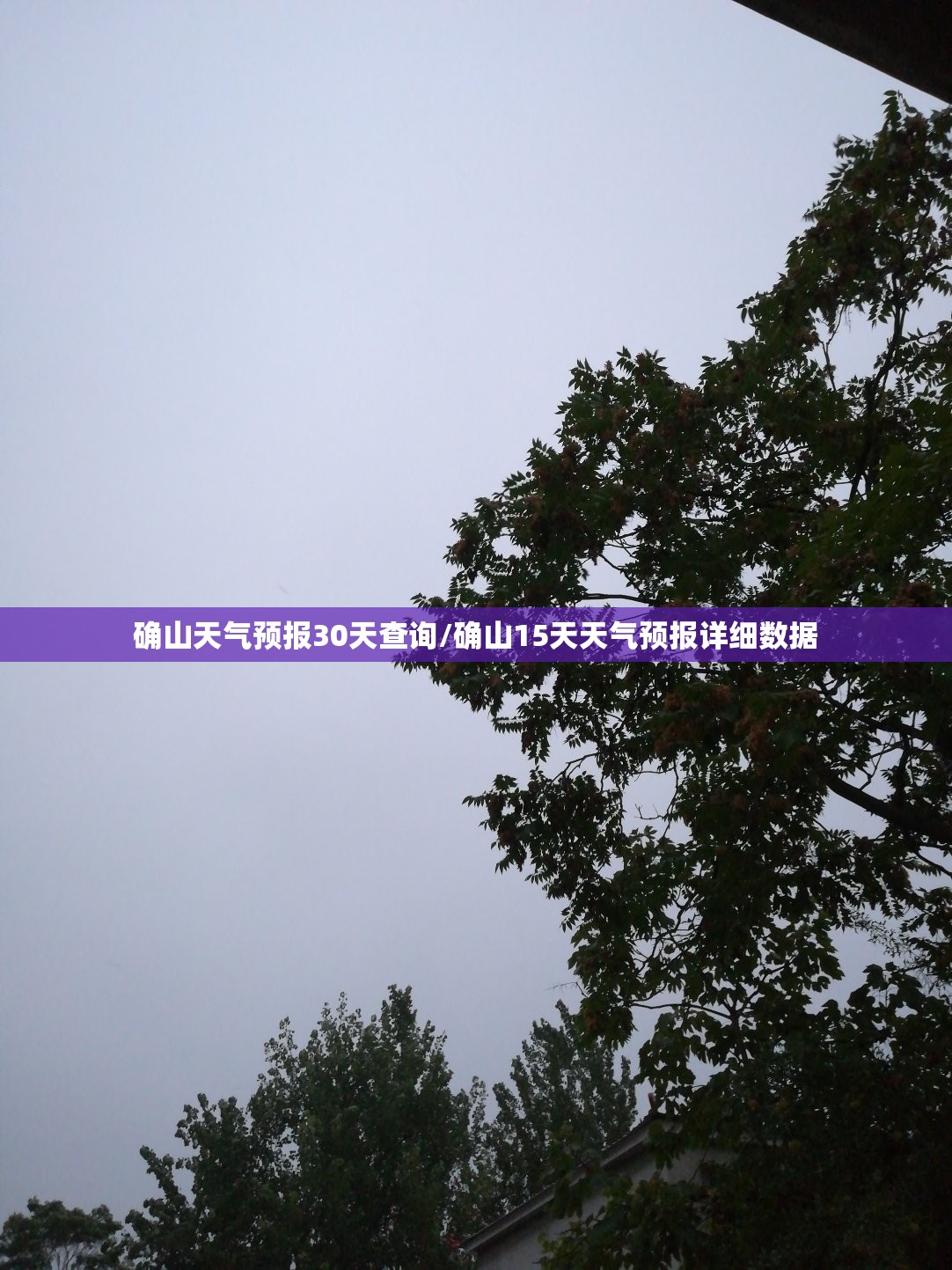确山天气预报30天查询/确山15天天气预报详细数据 确山天气预报30天查询/确山15天天气预报详细数据
