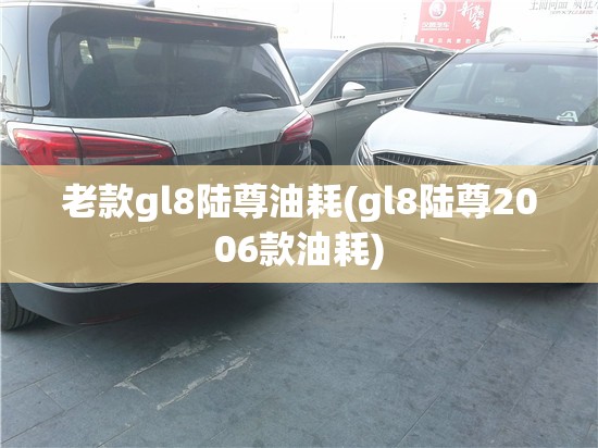 老款gl8陆尊油耗(gl8陆尊2006款油耗)
