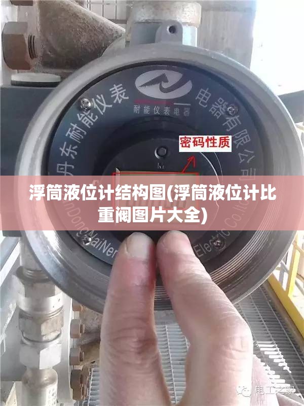 浮筒液位计结构图(浮筒液位计比重阀图片大全)