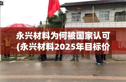 永兴材料为何被国家认可(永兴材料2025年目标价) 永兴材料为何被国家认可(永兴材料2025年目标价)