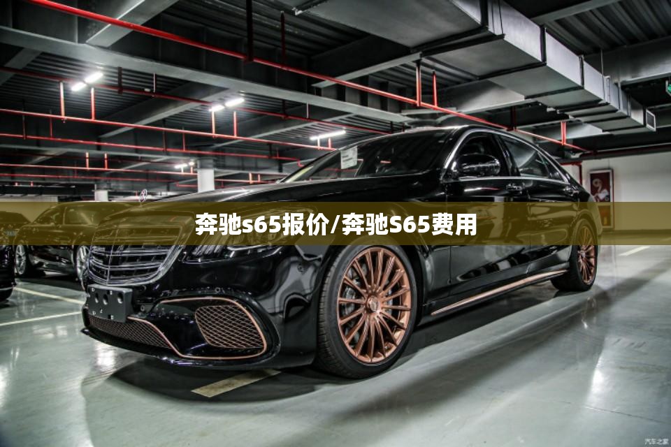 奔驰s65报价/奔驰S65费用