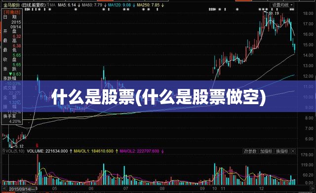什么是股票(什么是股票做空)