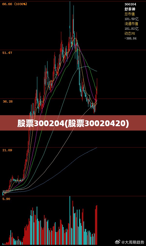 股票300204(股票30020420) 股票300204(股票30020420)