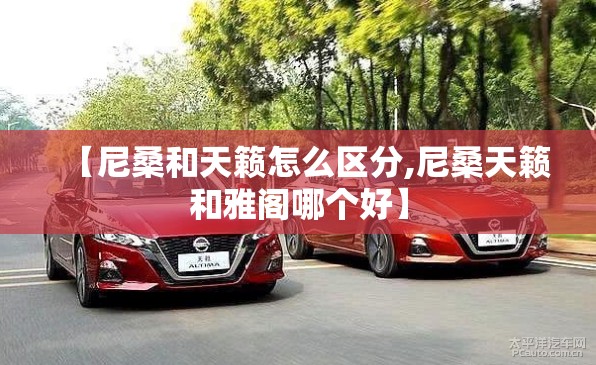 【尼桑和天籁怎么区分,尼桑天籁和雅阁哪个好】