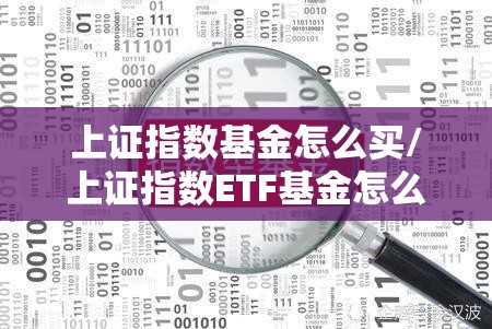 上证指数基金怎么买/上证指数ETF基金怎么买