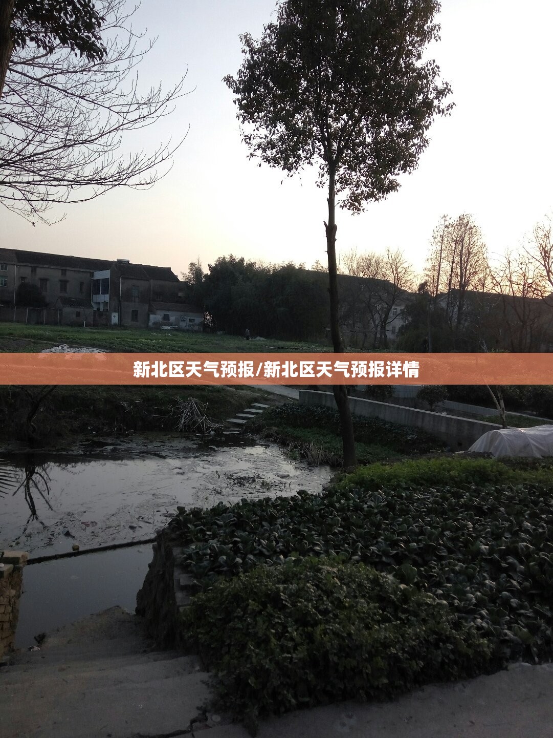新北区天气预报/新北区天气预报详情 新北区天气预报/新北区天气预报详情