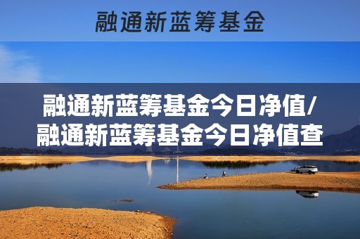 融通新蓝筹基金今日净值/融通新蓝筹基金今日净值查询