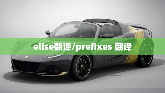 elise翻译/prefixes 翻译 elise翻译/prefixes 翻译
