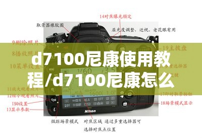 d7100尼康使用教程/d7100尼康怎么设置