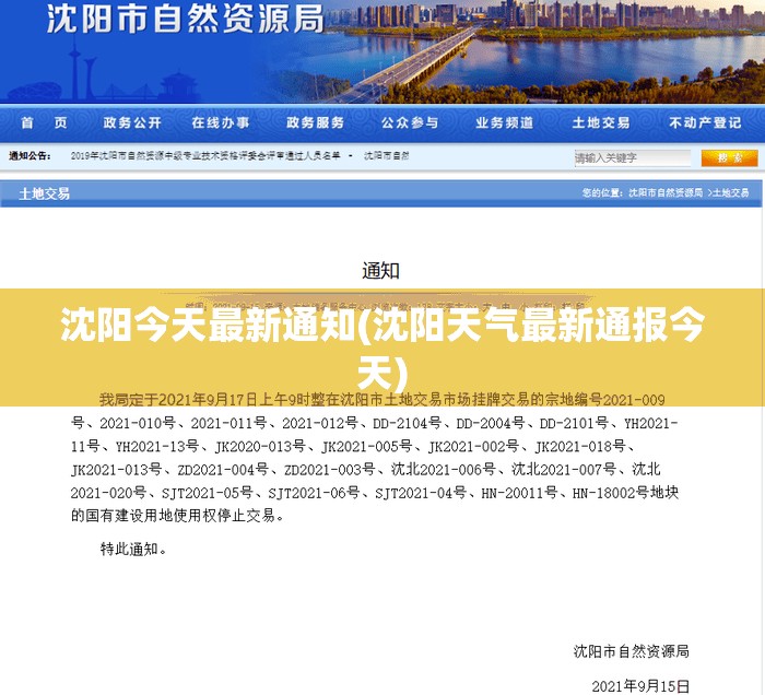 沈阳今天最新通知(沈阳天气最新通报今天)