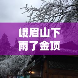 峨眉山下雨了金顶有上去的必要吗/峨眉山下雨了金顶有上去的必要吗? 峨眉山下雨了金顶有上去的必要吗/峨眉山下雨了金顶有上去的必要吗?