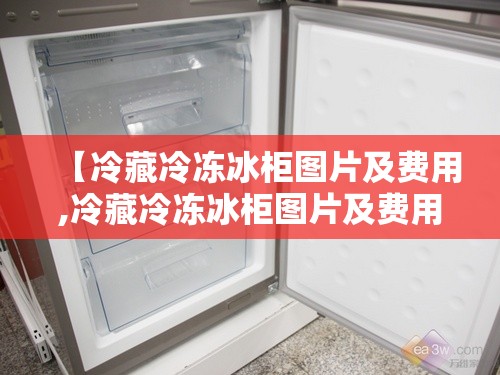【冷藏冷冻冰柜图片及费用,冷藏冷冻冰柜图片及费用大全】