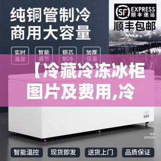 【冷藏冷冻冰柜图片及费用,冷藏冷冻冰柜图片及费用大全】