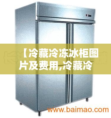 【冷藏冷冻冰柜图片及费用,冷藏冷冻冰柜图片及费用大全】