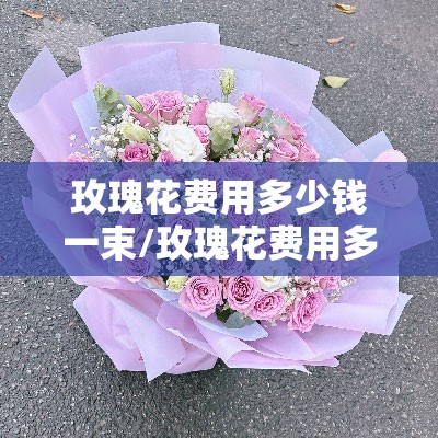 玫瑰花费用多少钱一束/玫瑰花费用多少钱一只