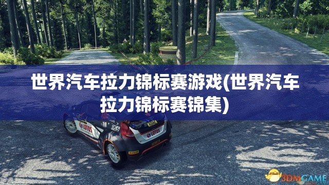 世界汽车拉力锦标赛游戏(世界汽车拉力锦标赛锦集)