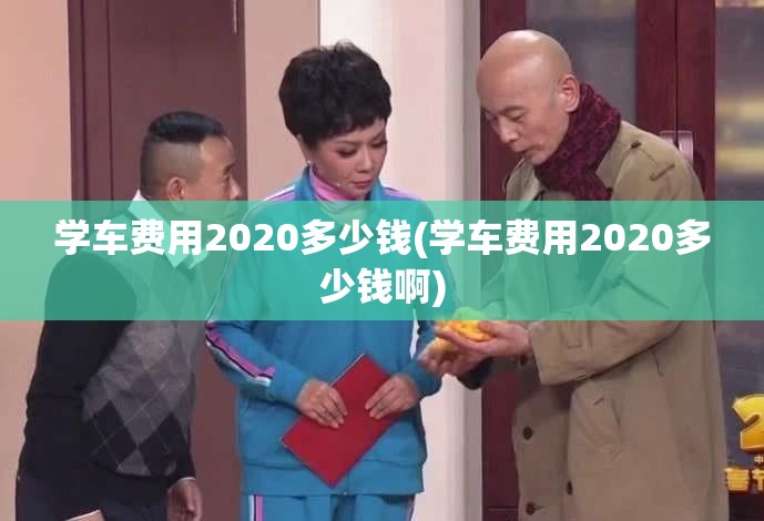 学车费用2020多少钱(学车费用2020多少钱啊) 学车费用2020多少钱(学车费用2020多少钱啊)