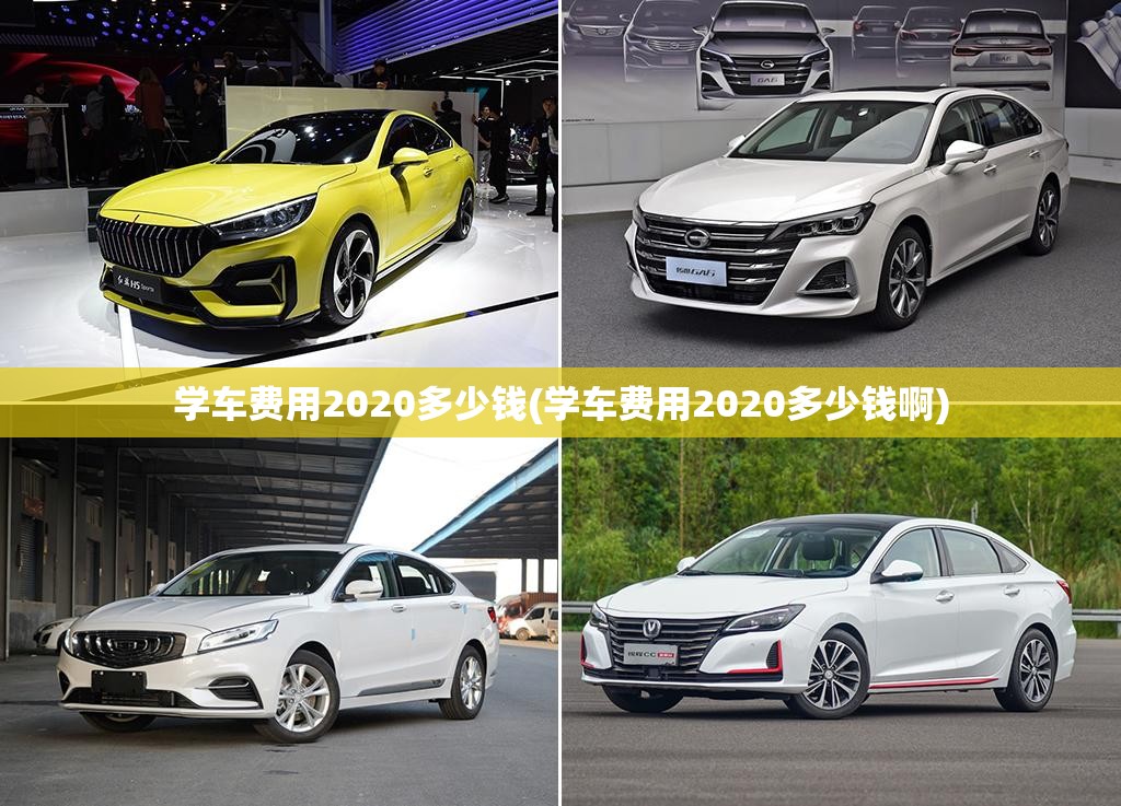 学车费用2020多少钱(学车费用2020多少钱啊) 学车费用2020多少钱(学车费用2020多少钱啊)