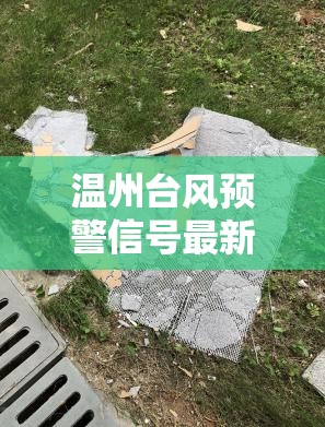 温州台风预警信号最新消息/温州台风预警信号怎么判